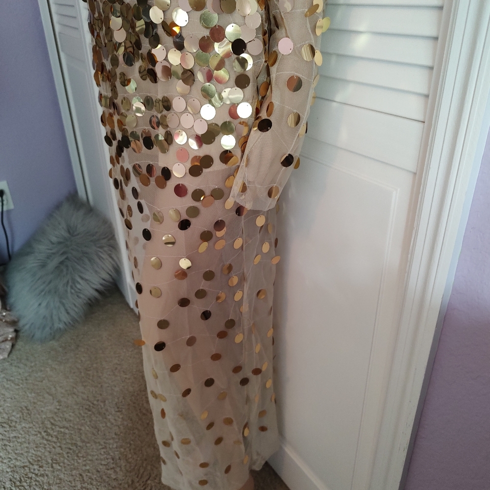 Sexy sheer metallic gown - Picture 16 of 16